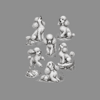Six black and white sketches of poodles in various playful poses on a gray background.