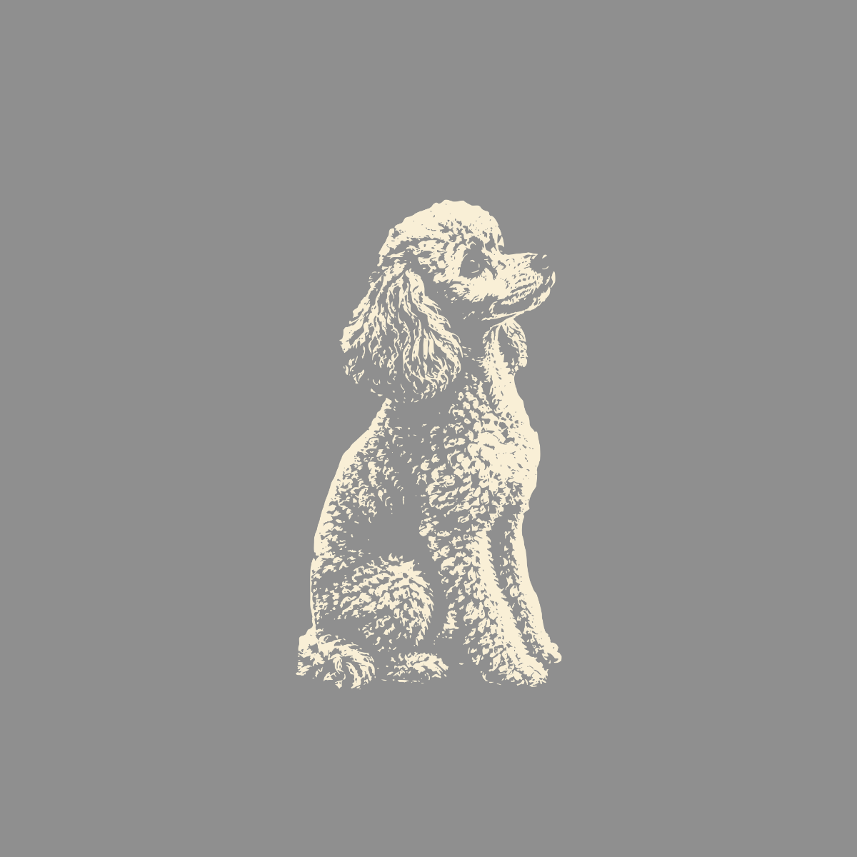 Illustration of a poodle sitting and looking to the right on a gray background.