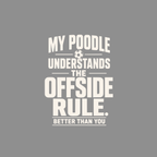 My poodle understands the offside rule better than you.