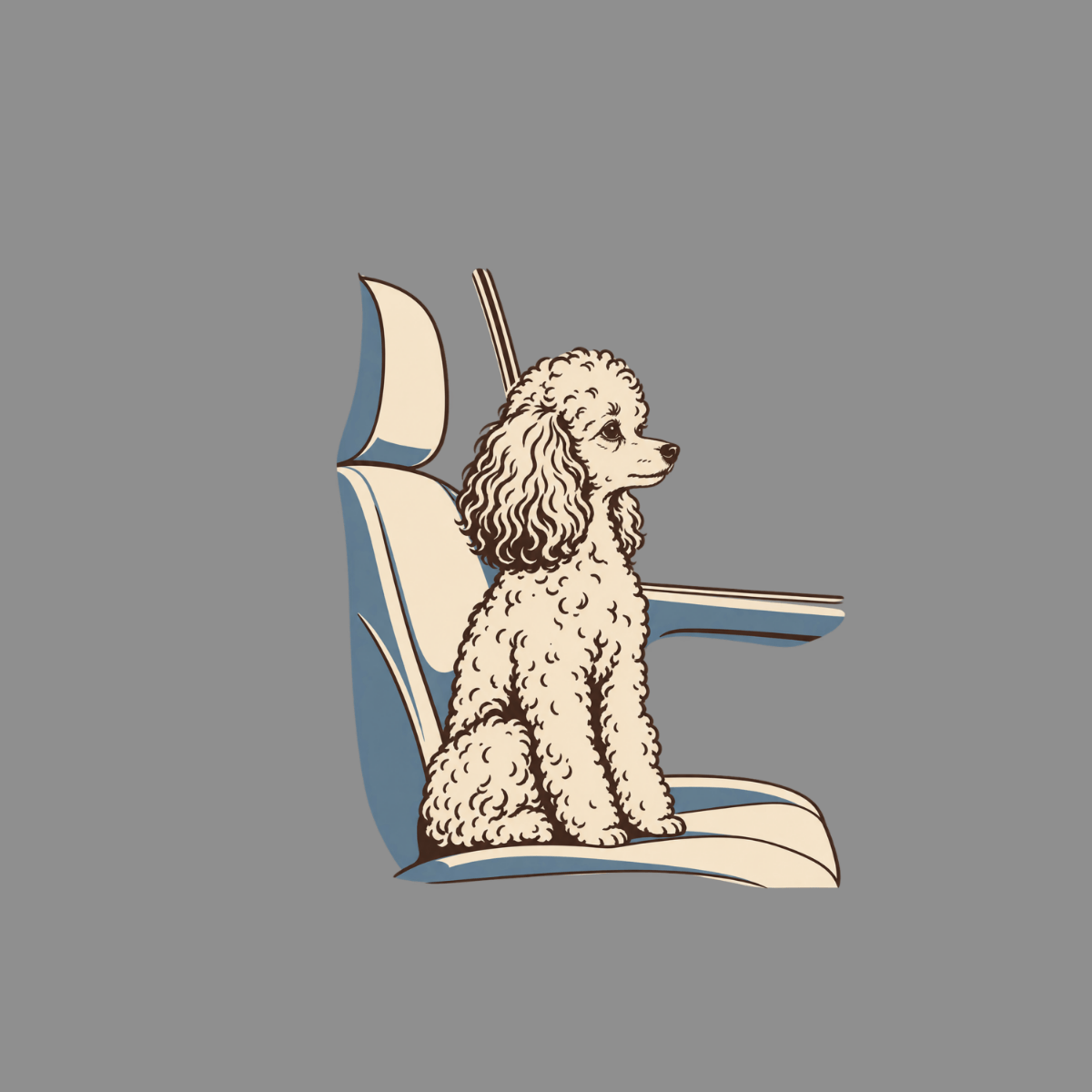 Illustration of a poodle sitting on a car seat.