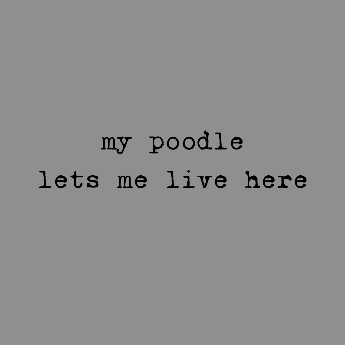 my poodle lets me live here text on grey background