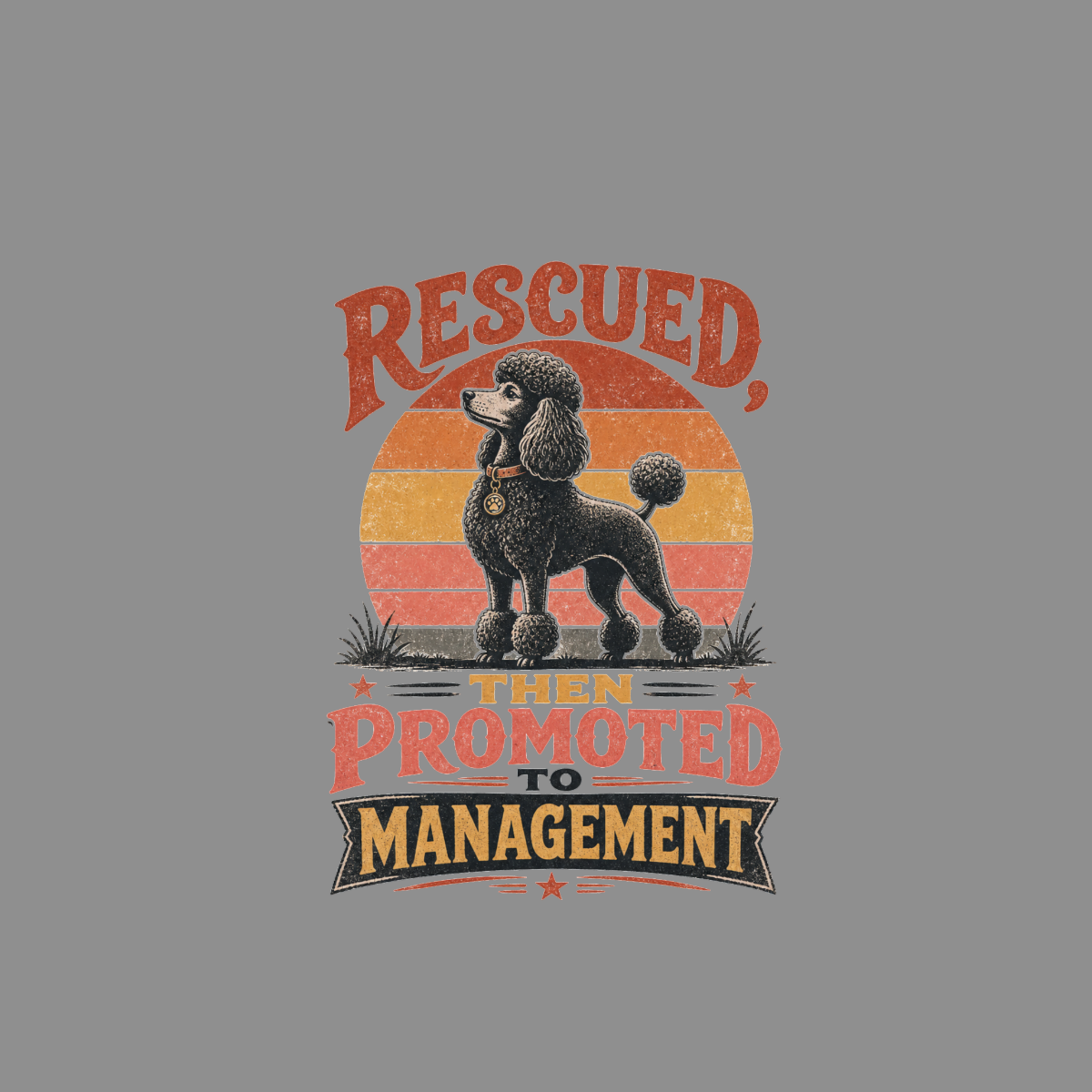 Black poodle standing before a striped sunset with text "Rescued, then promoted to management."