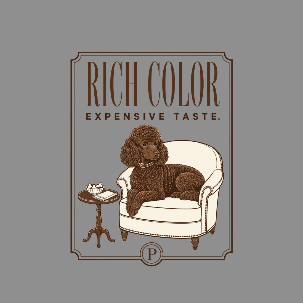 Brown poodle lounging on an armchair next to a table with treats.