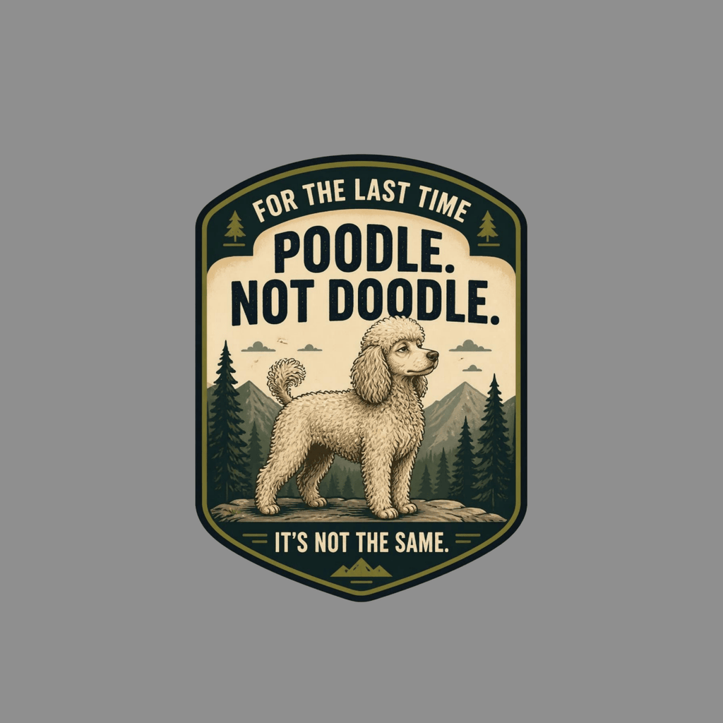 Poodle with text "For the last time, poodle. Not doodle. It's not the same."