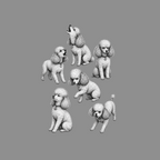 Six poodles in various poses on a gray background, rendered in black and white.