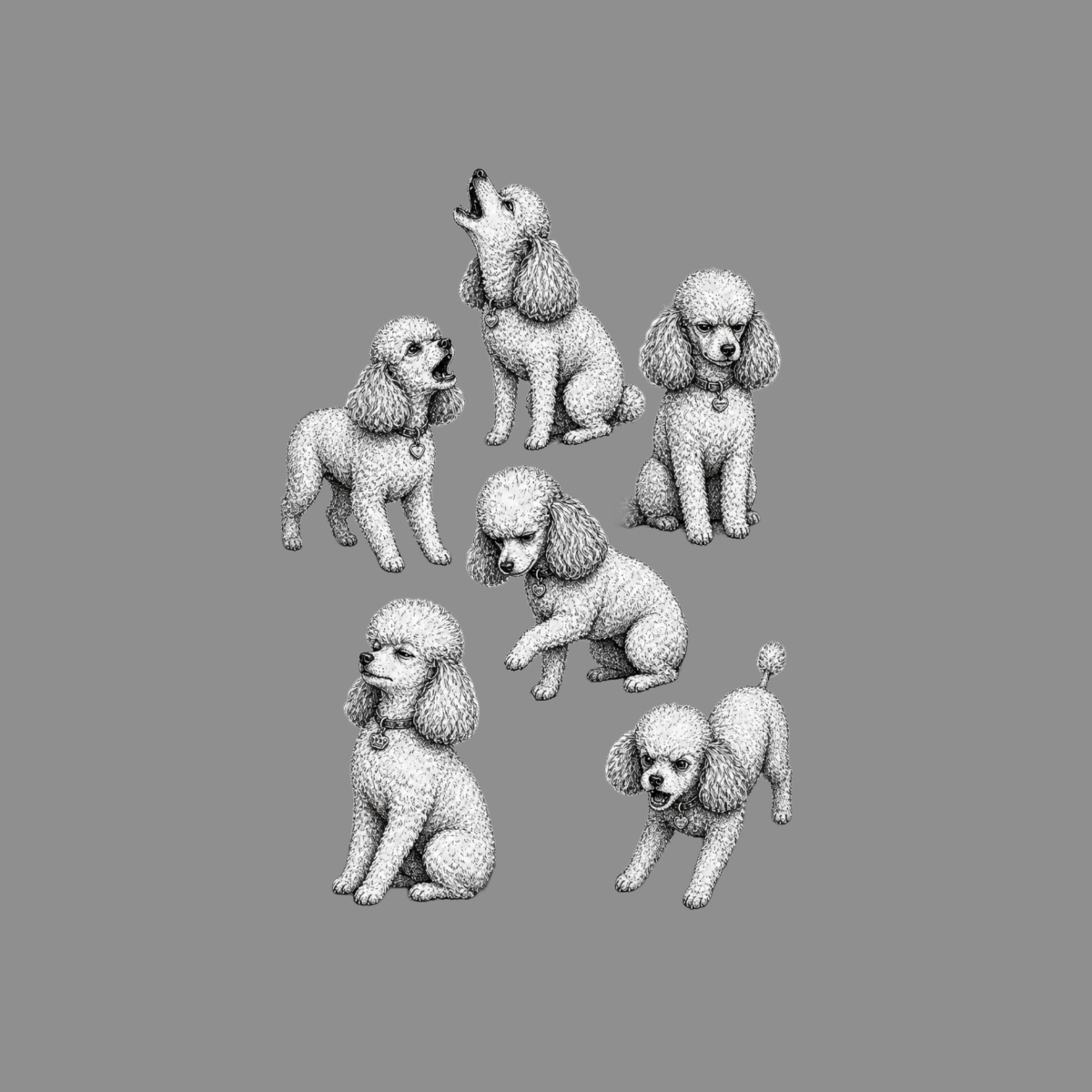 Six poodles in various poses on a gray background, rendered in black and white.